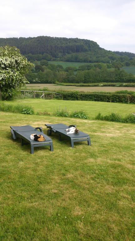 Bed and Breakfast Upper Letton Farm Leintwardine Екстер'єр фото