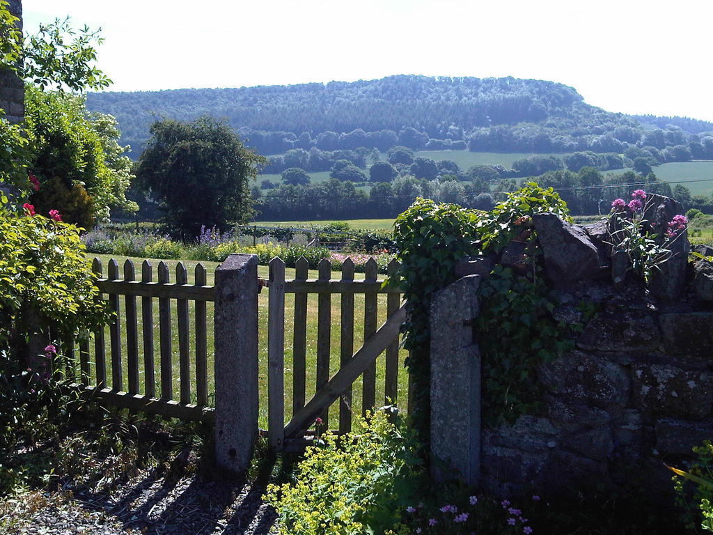 Bed and Breakfast Upper Letton Farm Leintwardine Екстер'єр фото
