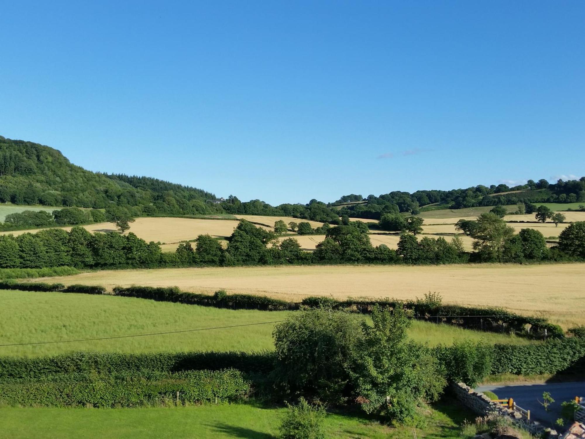 Bed and Breakfast Upper Letton Farm Leintwardine Екстер'єр фото